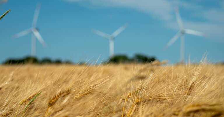 Editoriale_foto 1